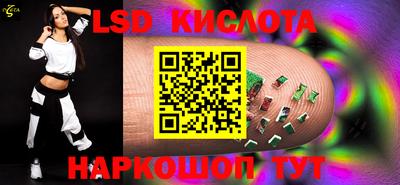 индика Гатчина