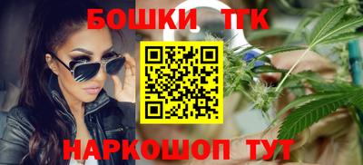индика Гатчина