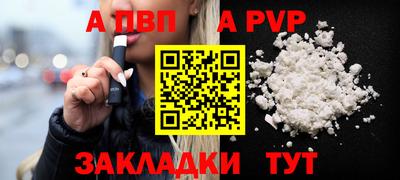 индика Гатчина