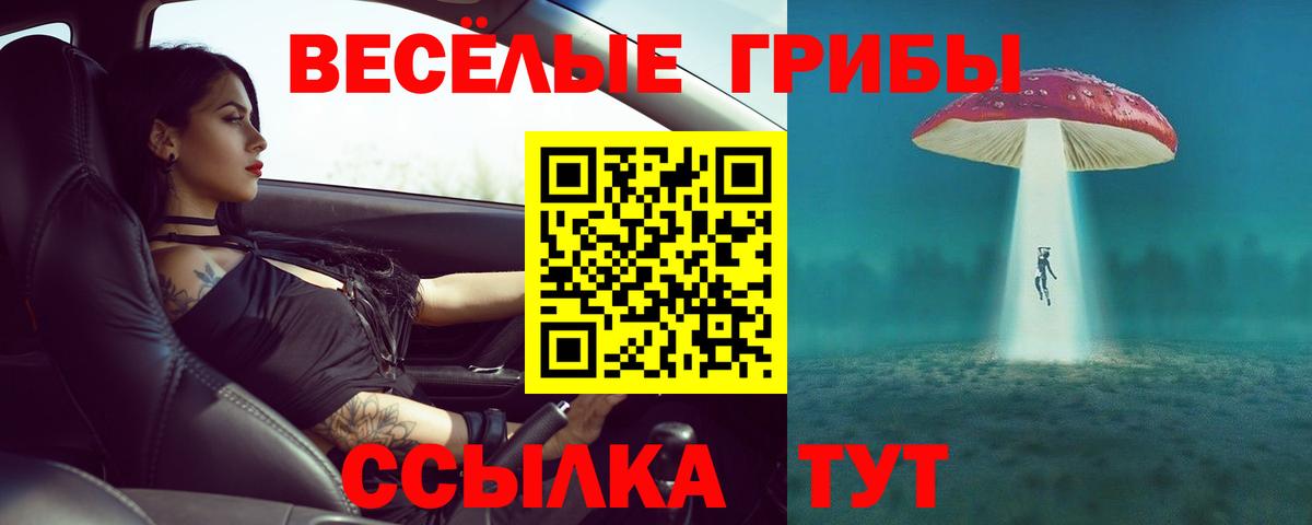 Галлюциногенные грибы мицелий  Вход с VPN  Менделеевск 
